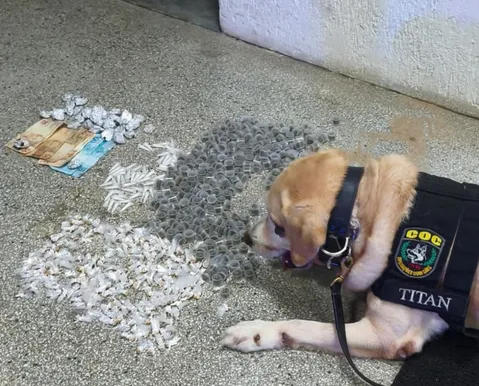 Adolescente é apreendido com drogas durante patrulhamento da polícia