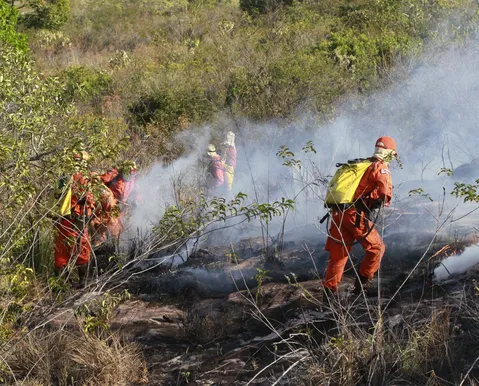 Após 100 dias de combate a incêndios florestais, bombeiros registram queda de 29% nos focos de calor durante a operação