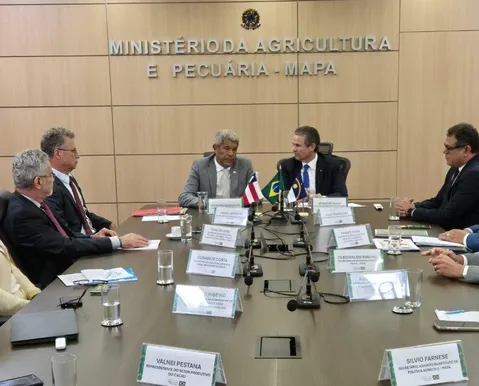 Bahia terá previsão de safra de cacau após acordo sobre produção