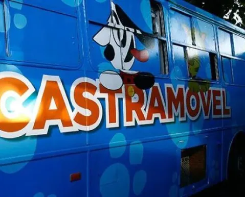Castramóvel realiza castração gratuita de cães e gatos em Amaralina