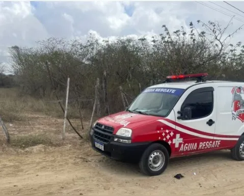 Corpo em avançado estado de decomposição é encontrado na Bahia