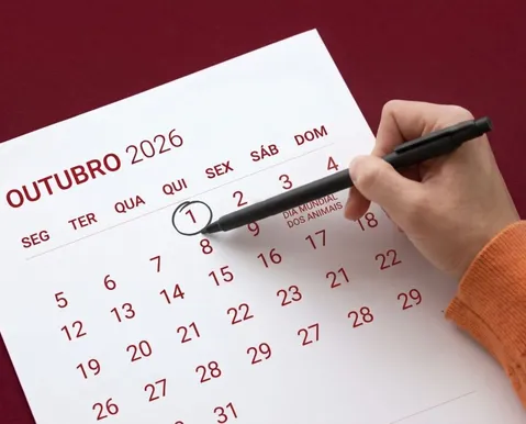 Feriado garante folga na primeira semana de outubro na Bahia