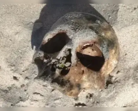 Mistério na praia: crânio aparece em praia de Salvador - Imagem