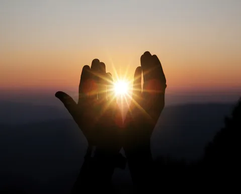 Paz todos os dias - Imagem