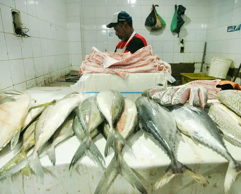 Pesca em rio famoso do Brasil é proibida e multa pode chegar a R$ 100 mil