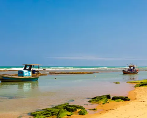 Praia escondida na Bahia vira investimento de dona de parque famoso