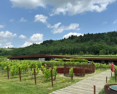Roubo histórico: grupo invade vinícola e rouba 30 mil garrafas de vinho