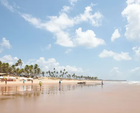Sete praias da Bahia ganham prêmio internacional rigoroso e importante