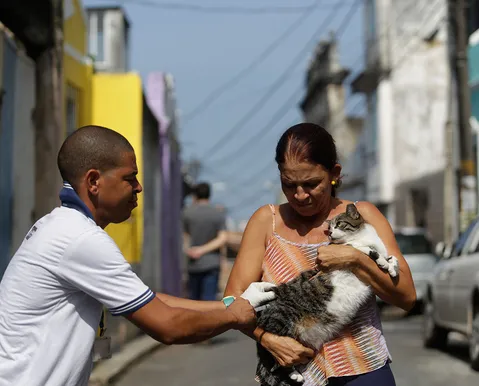 Vacinação de cães e gatos acontece em bairros de Salvador neste domingo (30/08) - Imagem