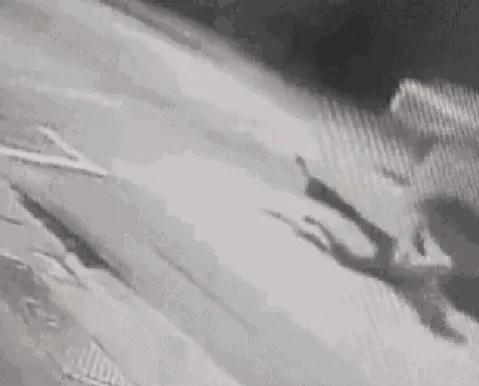 Vídeo: adolescente pula de carro em movimento e escapa de sequestro - Imagem
