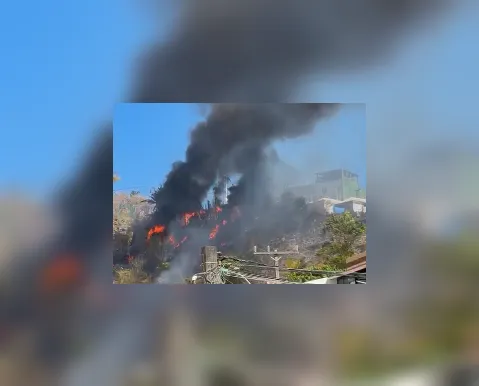Vídeo: Incêndio atinge área de mata nas dunas do Imbuí, em Salvador - Imagem