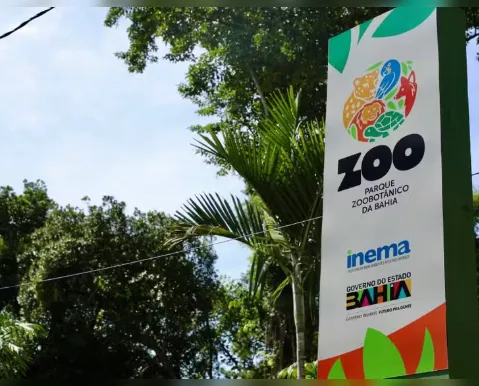 Zoológico de Salvador anuncia visitas noturnas; veja como participar - Imagem