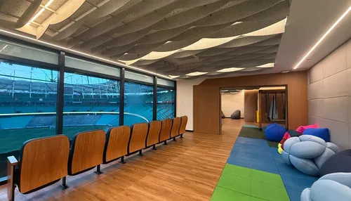 Arena Fonte Nova terá espaço especial para torcedores autistas