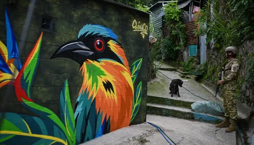 Mulheres transformam com arte antiga zona dominada por gangues
