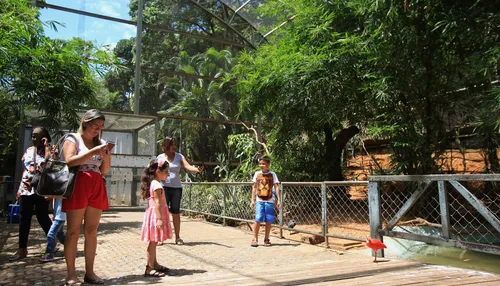 Zoológicos podem ser proibidos de funcionar em todo o Brasil