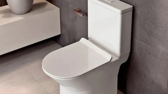 Homem compra vaso sanitário por R$ 50 milhões em leilão