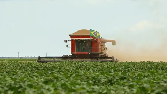 Plano de Estado é urgente, Sr. Presidente!