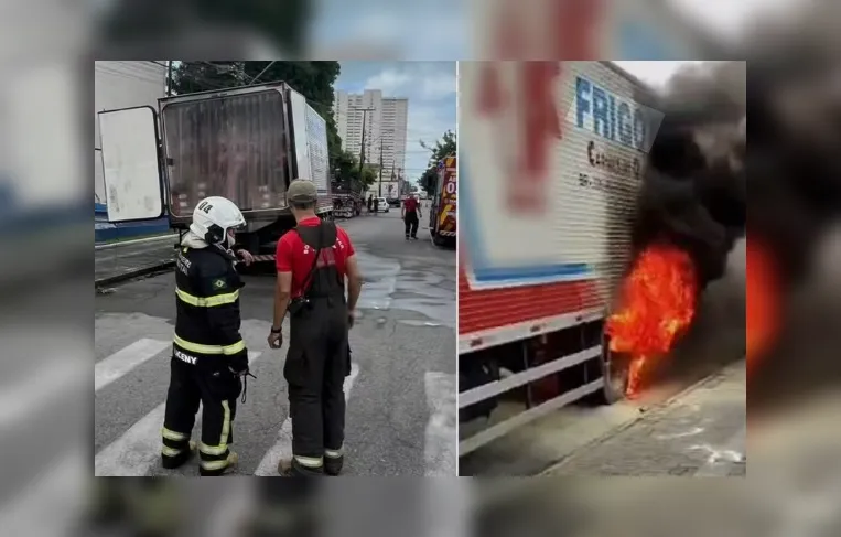 Pássaro atinge fiação, morre e provoca incêndio em caminhão na Bahia