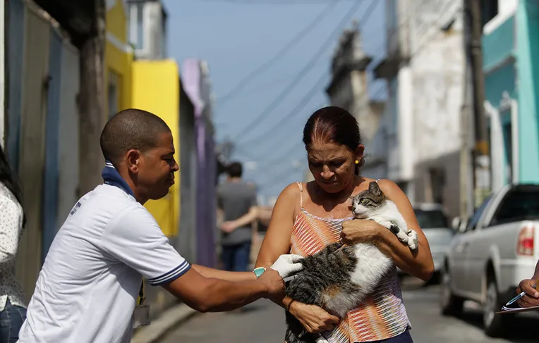 Vacinação de cães e gatos acontece em bairros de Salvador neste domingo (30/08)