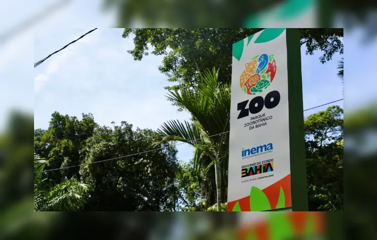 Zoológico de Salvador anuncia visitas noturnas; veja como participar