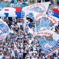 Bahia anuncia vendas para duelo da Libertadores; veja data e valores imagem