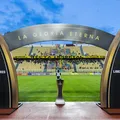 Bahia busca manter invencibilidade em casa na Libertadores imagem