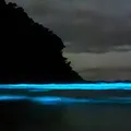 Fenômeno raro gera ondas de praia fluorescente em Ubatuba imagem