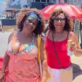 Foliões curtem último dia de Carnaval e citam segurança durante folia imagem