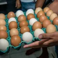 Preço do ovo dispara quase 20% em março! Veja como isso afeta seu bolso imagem
