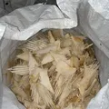 Mais de 70 kg de cartilagens de barbatanas de tubarão são apreendidas pela PC imagem