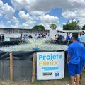 Projeto Fênix produz uma tonelada de tilápias em presídio de Feira de Santana imagem