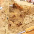 Vídeo: funcionários ficam soterrados após parte de obra cair em Pojuca imagem