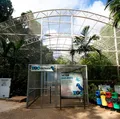 Zoológico de Salvador passa por requalificação: saiba quais mudanças imagem