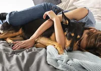 Entre amor e apego: veja quando a relação com pet se torna dependência imagem