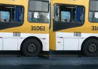 Motorista de ônibus é agredido com pedrada ao negar carona em Salvador imagem