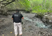 Na terceira fase, operação desmonta acampamentos de drogas no Sul da Bahia imagem