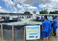 Projeto Fênix produz uma tonelada de tilápias em presídio de Feira de Santana