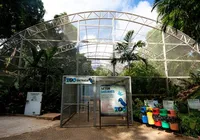 Zoológico de Salvador passa por requalificação: saiba quais mudanças imagem
