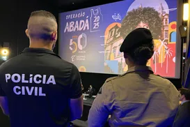 Golpe do abadá: quadrilhas virtuais miram foliões e polícia reage - Imagem