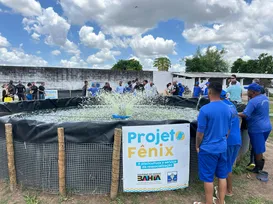 Projeto Fênix produz uma tonelada de tilápias em presídio de Feira de Santana - Imagem