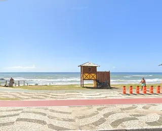 Tartarugas são encontradas mortas em praia de Salvador