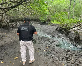 Na terceira fase, operação desmonta acampamentos de drogas no Sul da Bahia