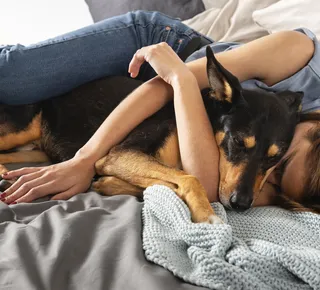 Entre amor e apego: veja quando a relação com pet se torna dependência - Imagem