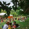 Feira Vegana em Salvador faz edição de Dia das Mães - Imagem