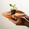 Jovem chef de Ilhéus celebra o Dia do Cacau com a conquista de prêmio - Imagem