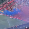 Após incômodo nas arquibancadas, Vitória explica fumaça azul na final imagem