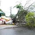 Árvores caídas, alagamentos, deslizamentos: chuva traz caos a Salvador imagem