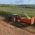 Cidade baiana é uma das melhores do país para investir em Agropecuária imagem