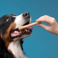 Descubra como não matar seus pets na Páscoa imagem