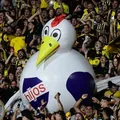 Libertadores: entenda por que time que enfrentará Bahia é chamado de 'Galinha' imagem